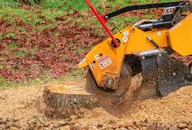 Best Pest Control for Lawns  in Elk Grove, CA